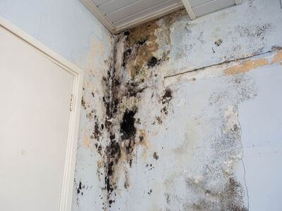 About Guardian Sprout - water damage restoration experts in Tempe